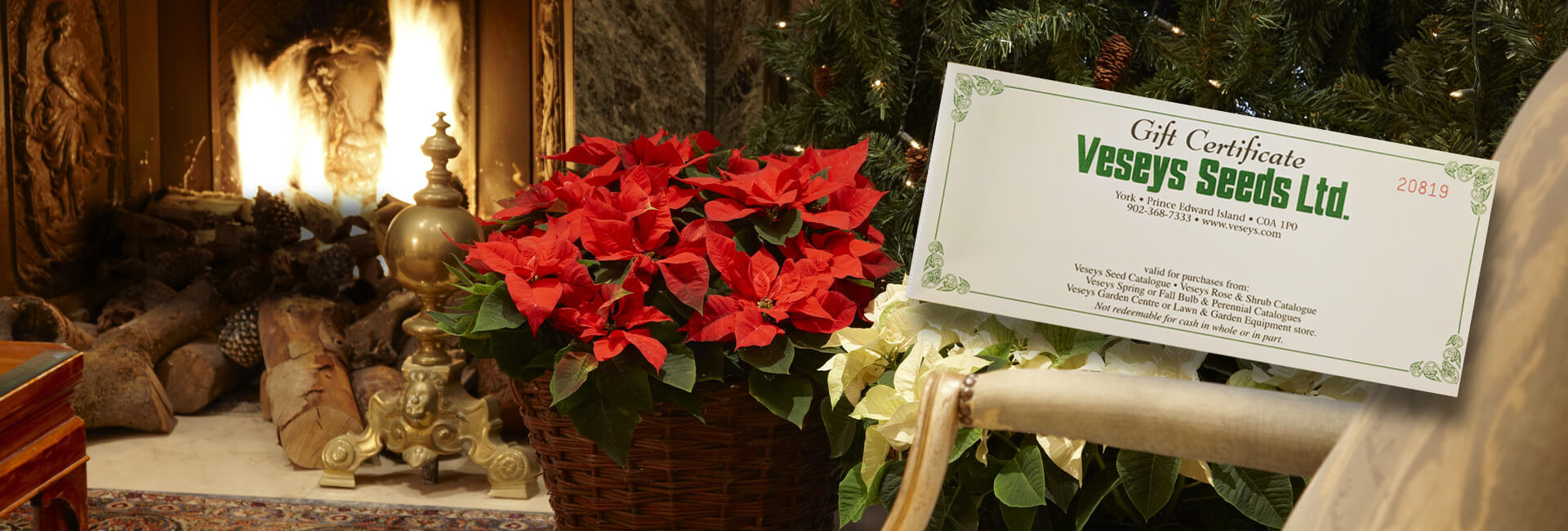 Gift Certificate Hero Image